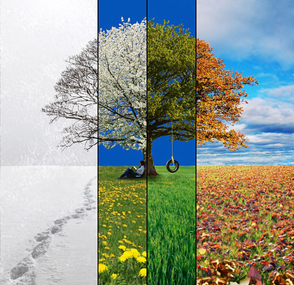 Paint Party Seasonal Guide Texas Art